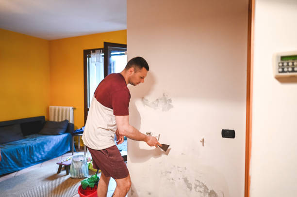Best Mold Cleaning Services  in Ellport, PA
